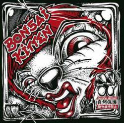 Bonsai Kitten : Bonsai Kitten Bonsai Kitten : Bonsai Kitten